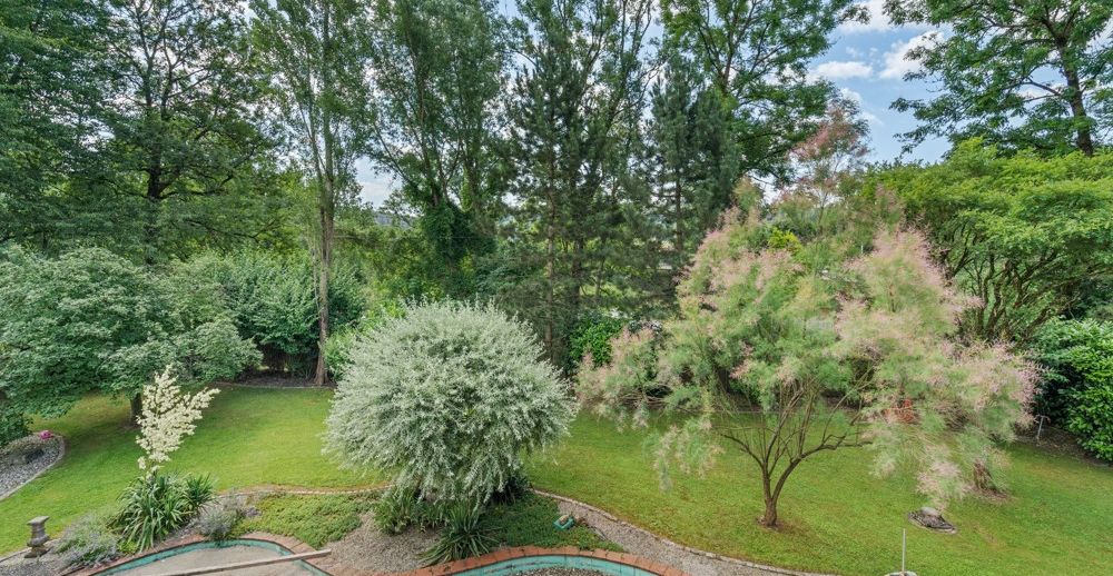 ... mit Blick in den Garten