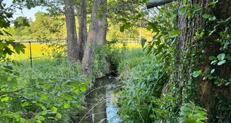 von_poll_real_estate_property_25338011_image_3