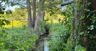 von_poll_real_estate_property_25338011_image_3