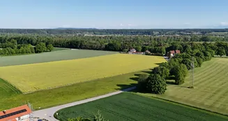 von_poll_real_estate_property_25338011_image_22