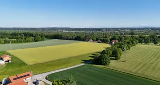 von_poll_real_estate_property_25338011_image_22