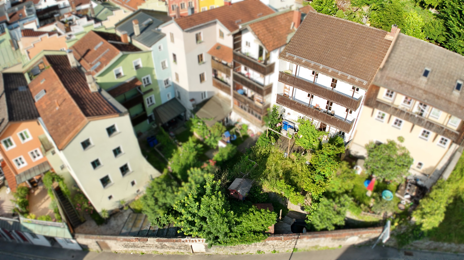 Blick in den Garten