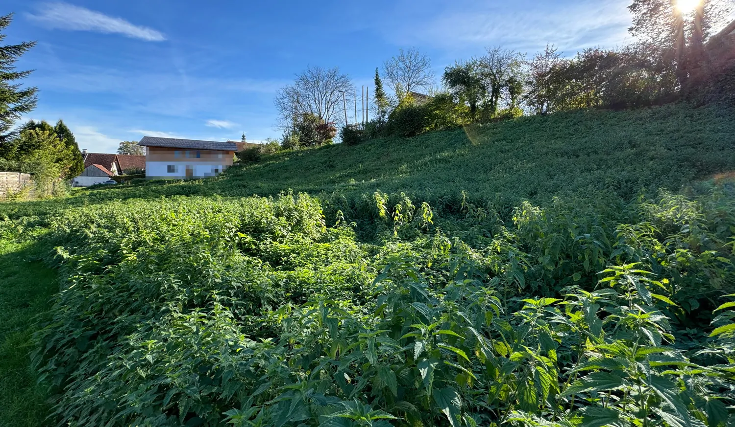 Im Grünen und doch zentral