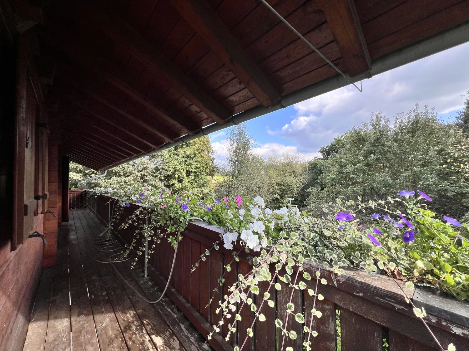 Blick vom Balkon OG