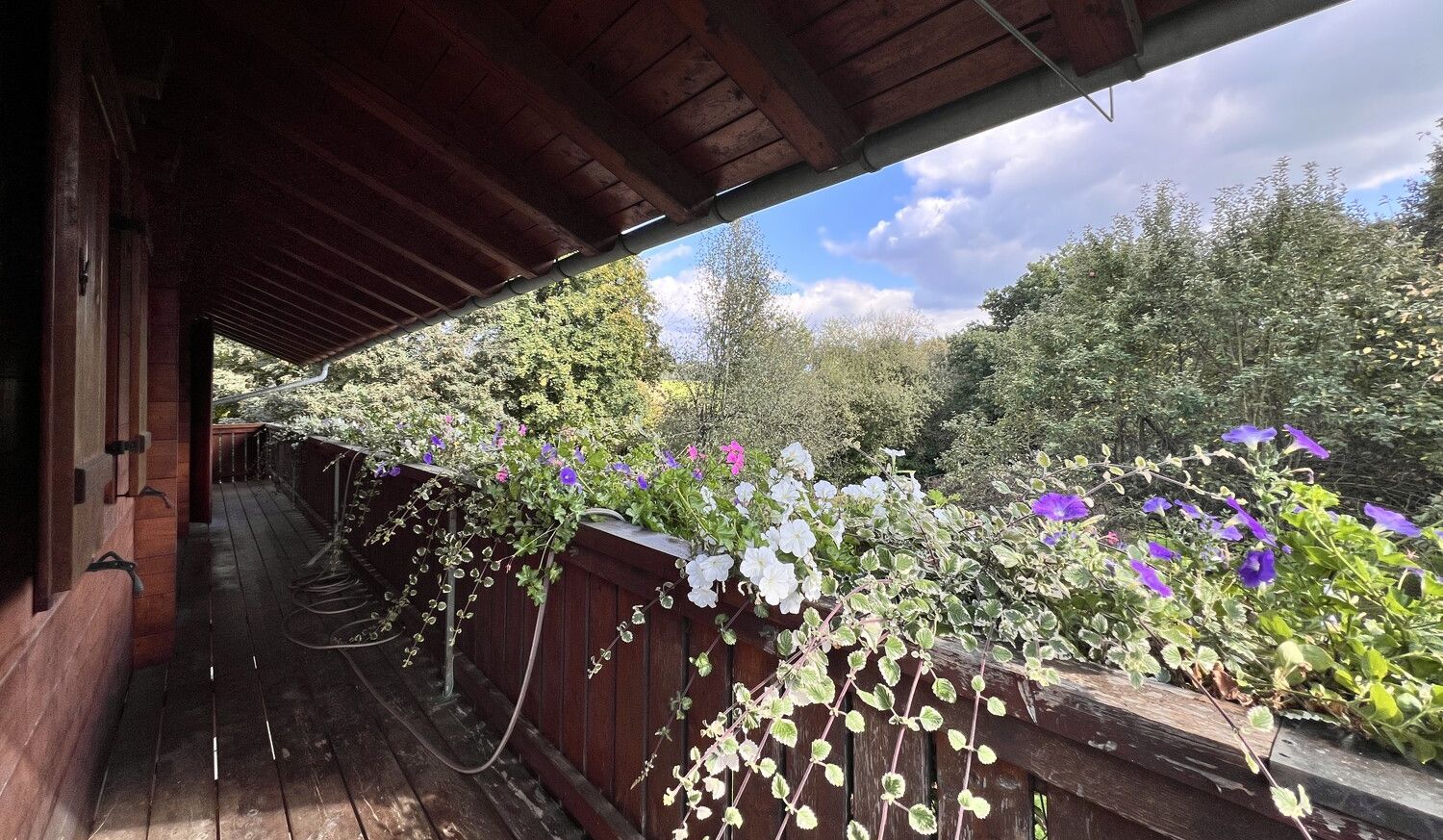 Blick vom Balkon OG