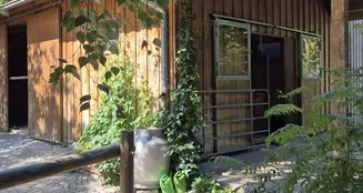 von_poll_real_estate_property_25338025_image_12