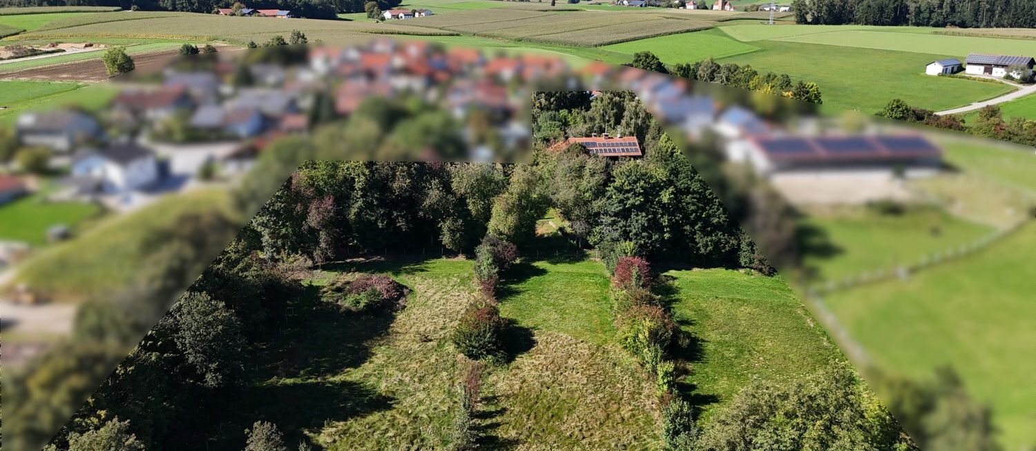 Großzügige Weiden