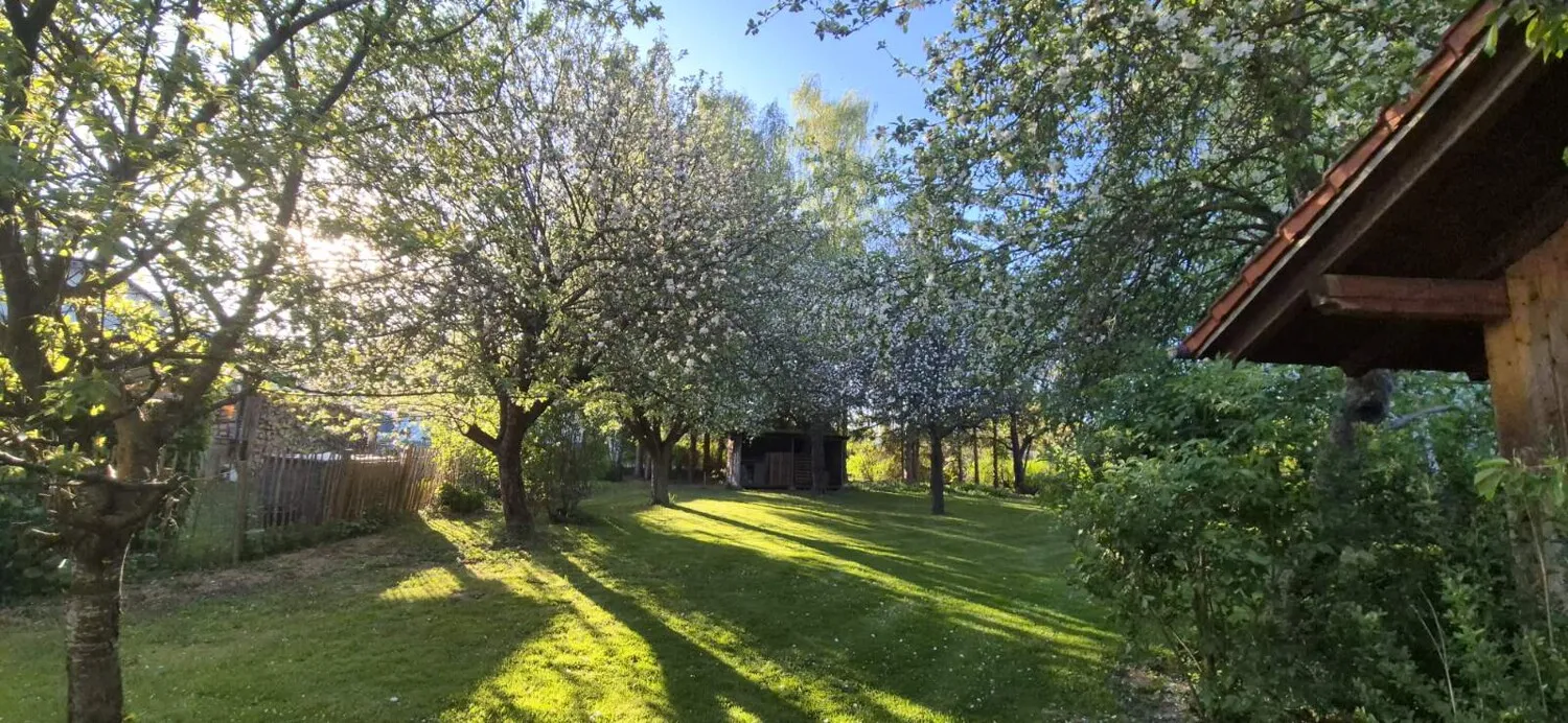 Obstgarten & Idylle