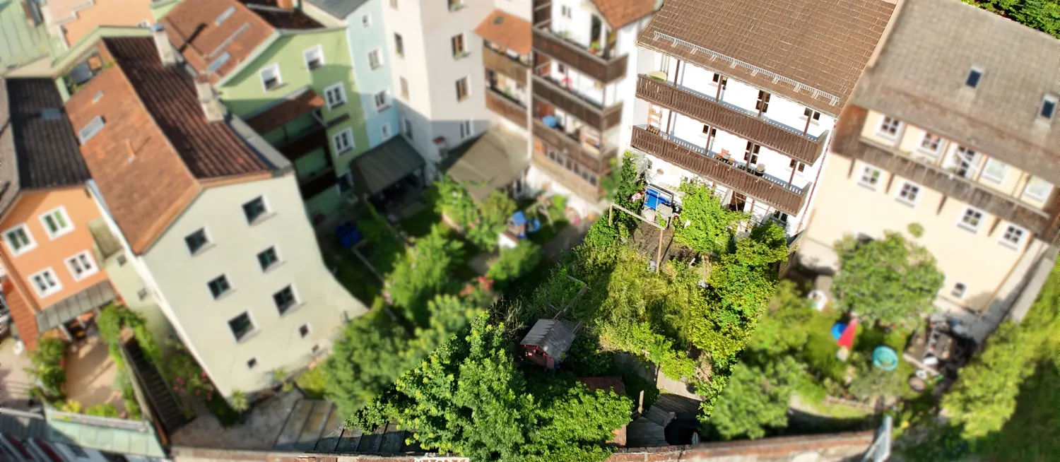 Blick in den Garten