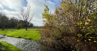 von_poll_real_estate_property_24338026-01_image_1