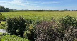 von_poll_real_estate_property_24338026-01_image_30