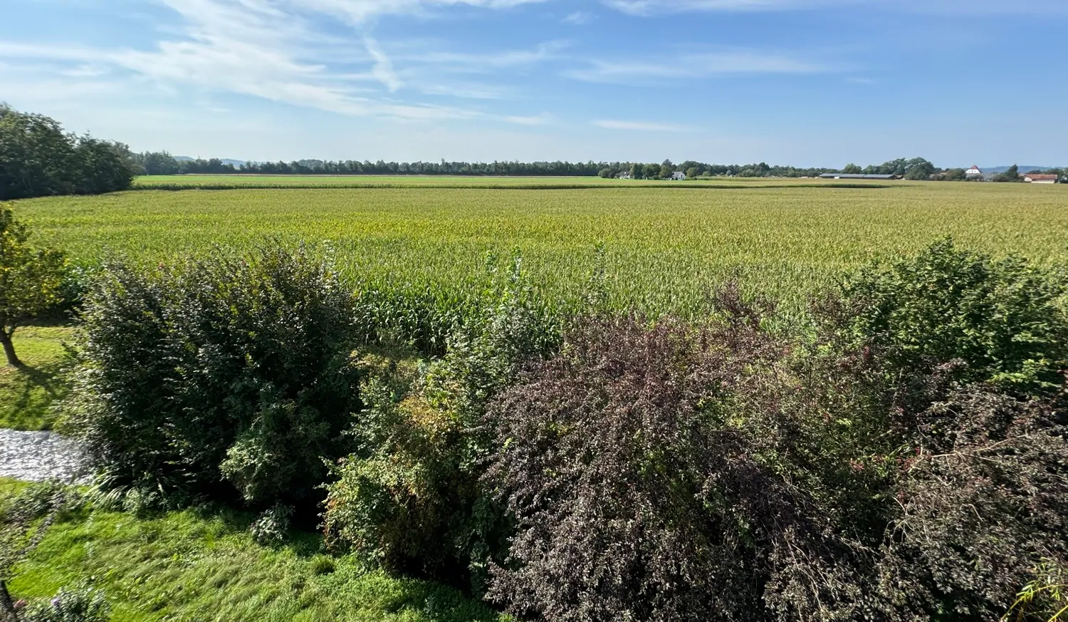 Unbegrenzter Ausblick