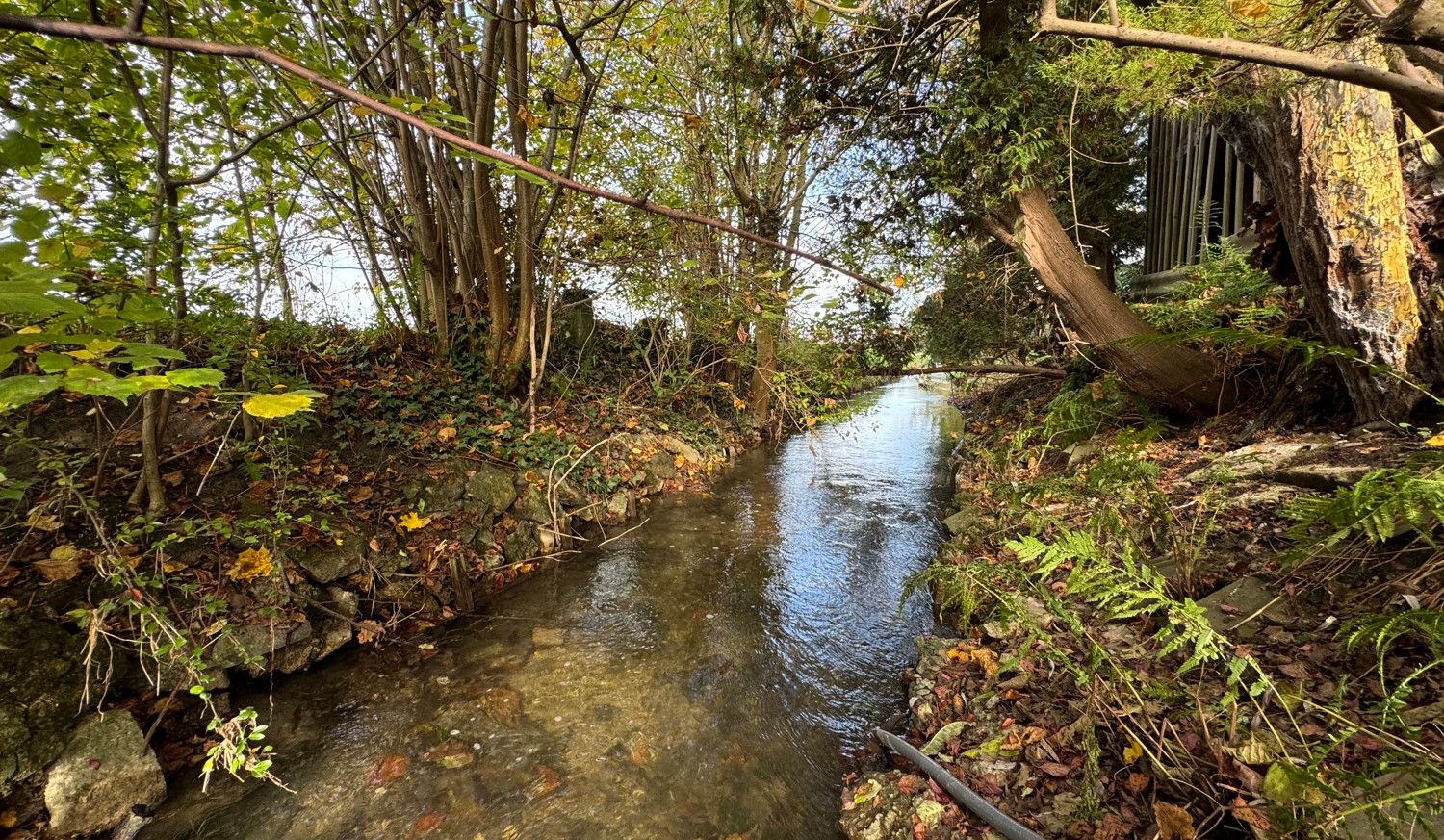 Sanftes Wasserspiel