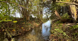 von_poll_real_estate_property_24338026-01_image_31