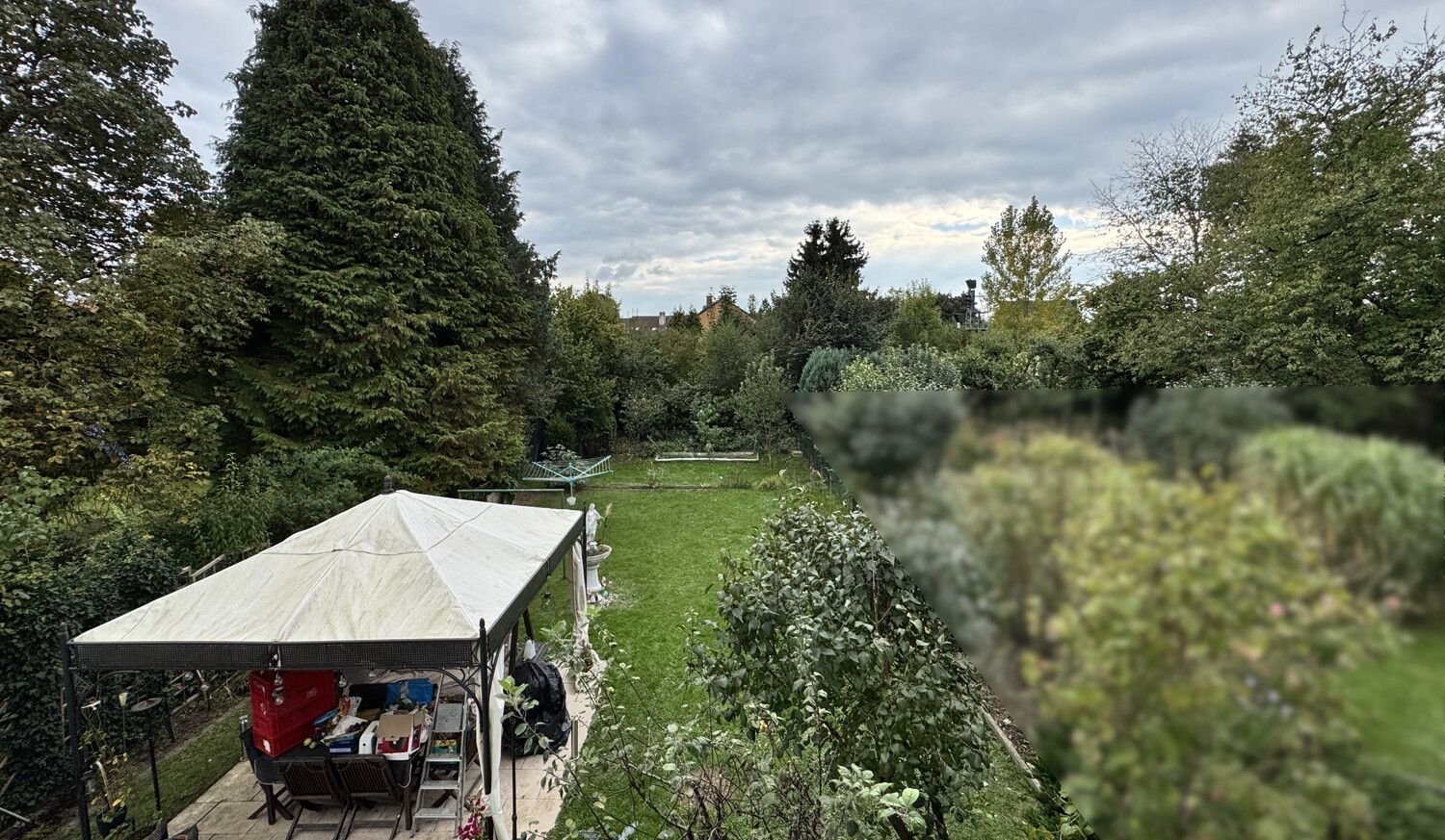 Blick in den Garten
