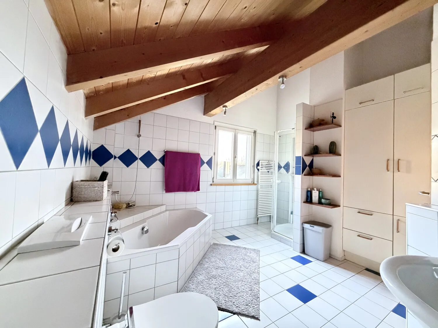 Dusche & Badewanne