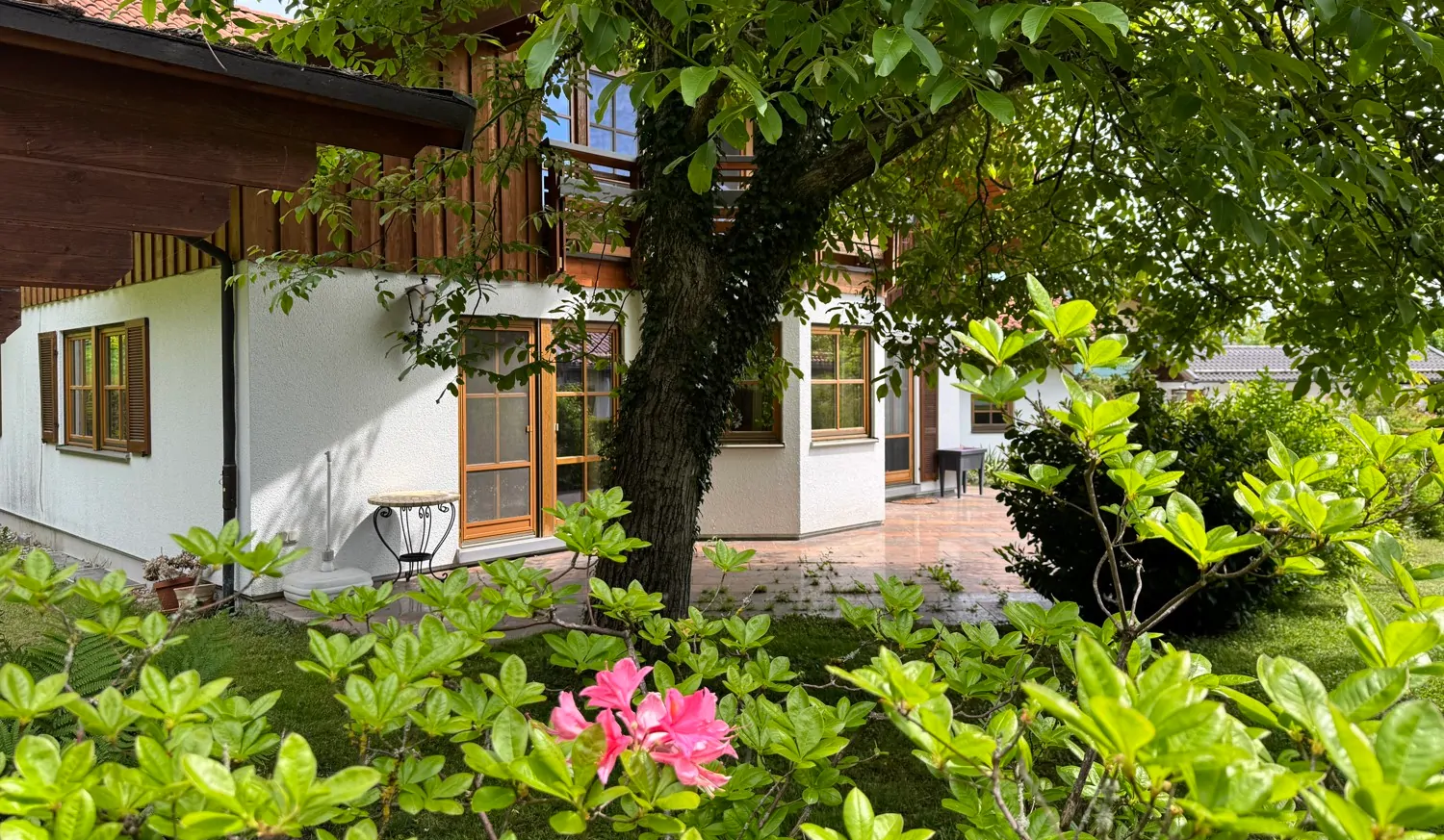 Herrlich eingewachsen