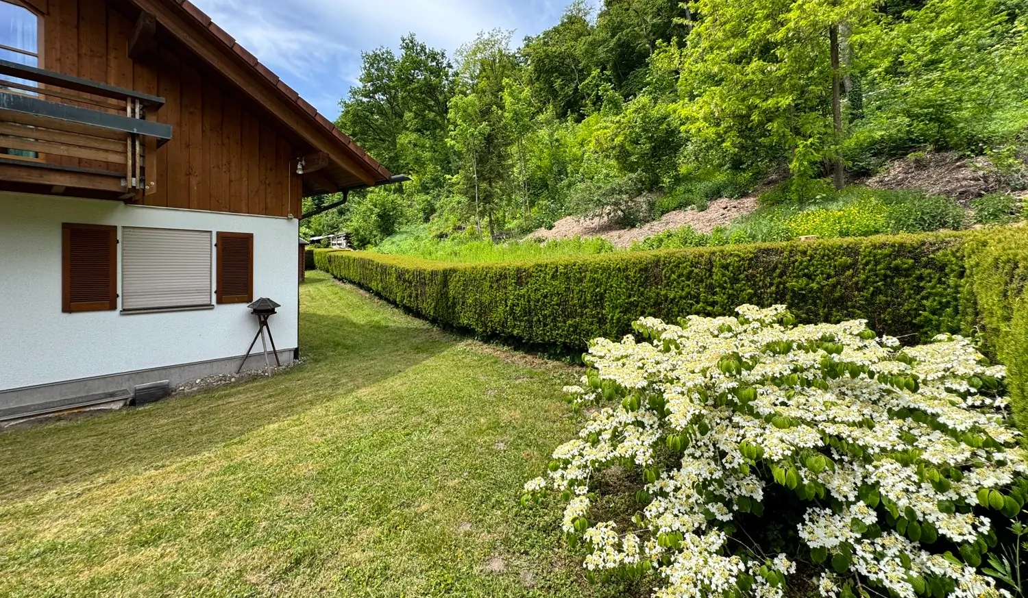 Der Hang zur Rückseite