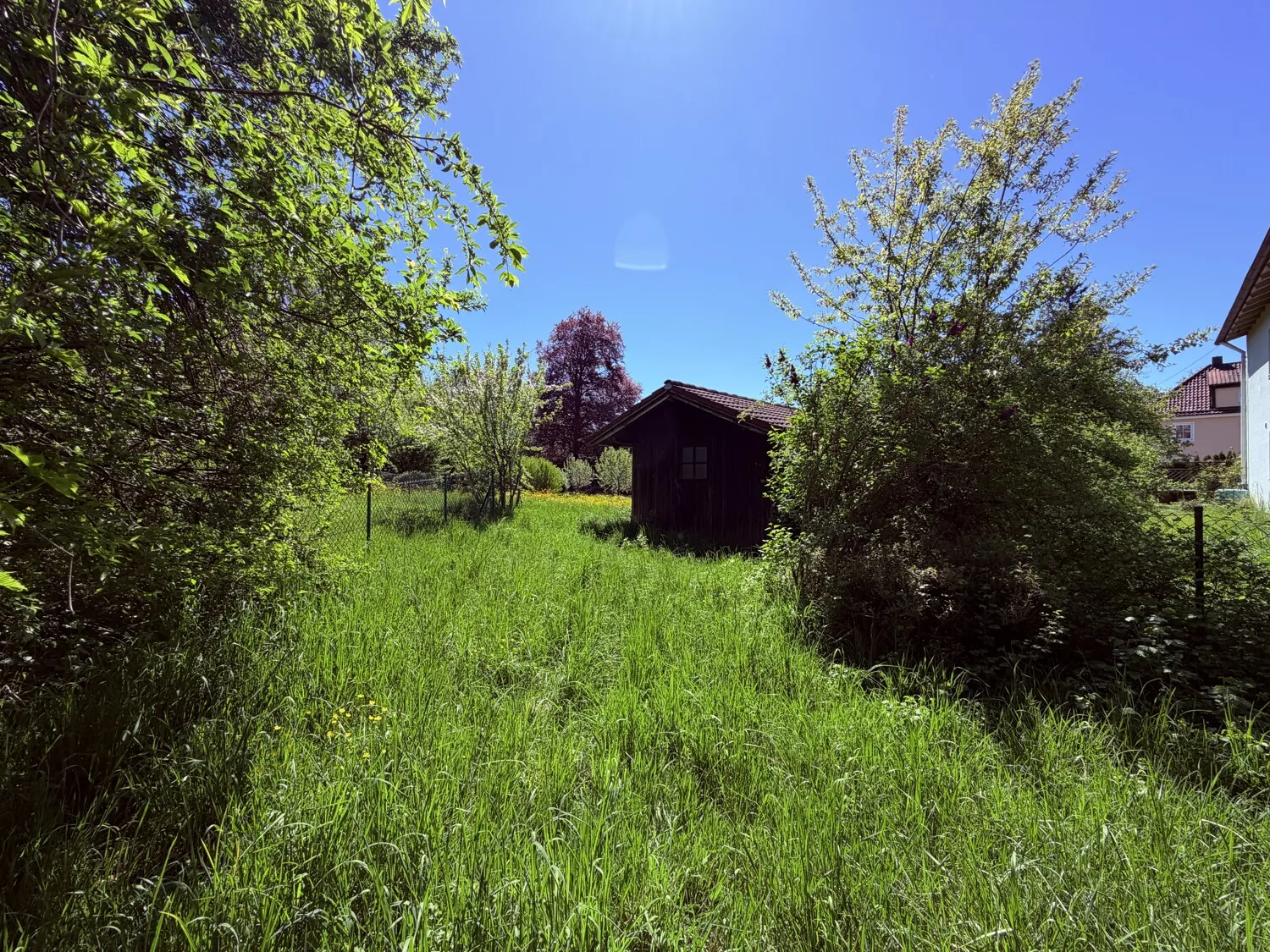 Wundervoll eingewachsen