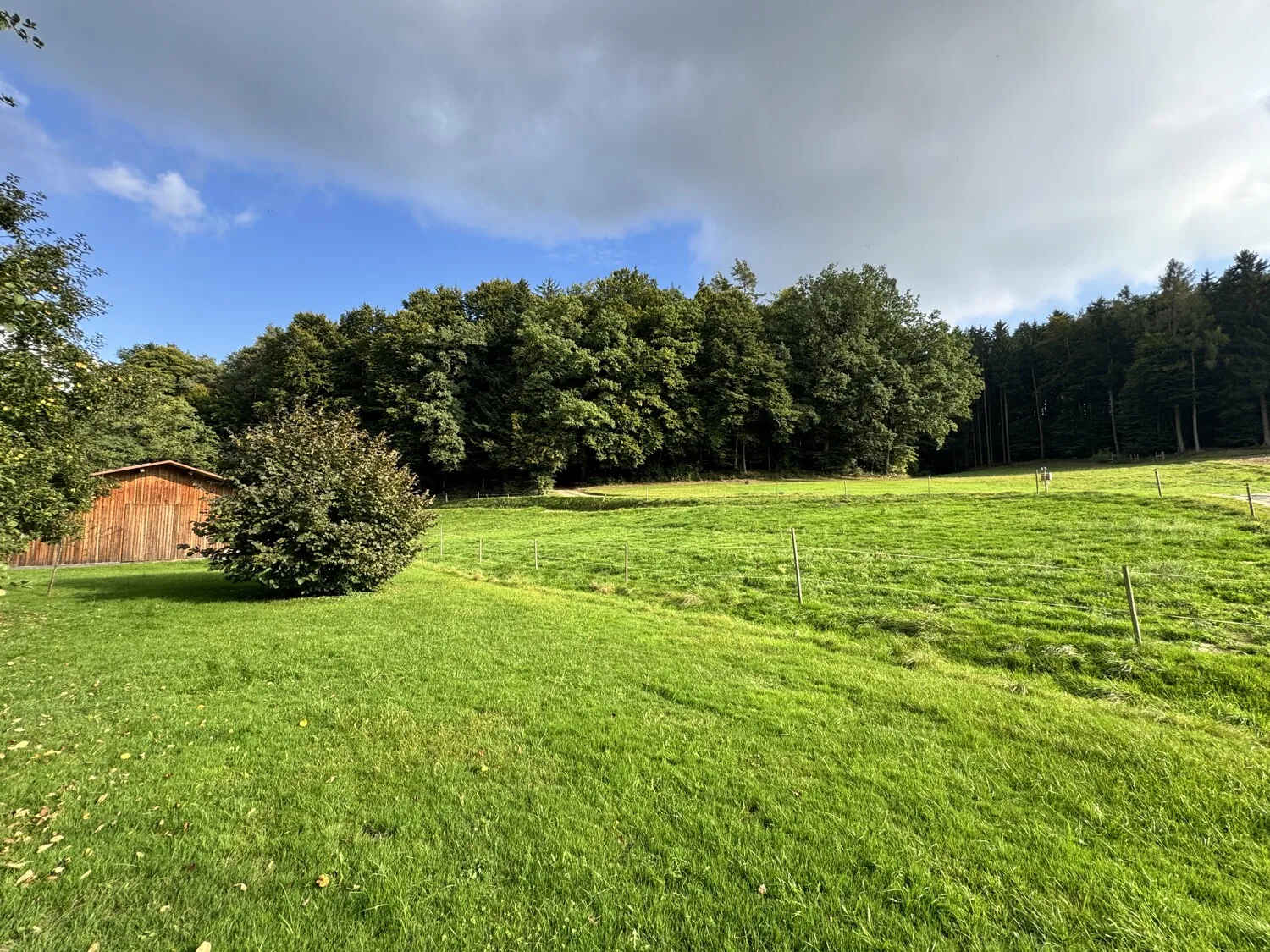 Wiesen & Weiden