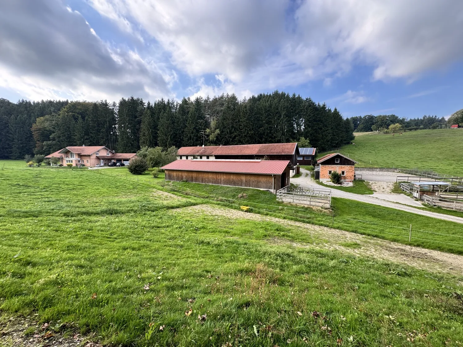 Koppel, Stall & Reitplatz
