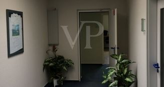 von_poll_real_estate_property_25351063_image_16