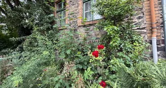 von_poll_real_estate_property_25351042_image_1