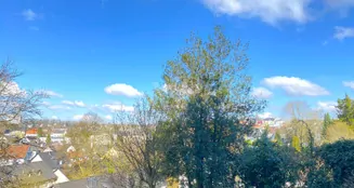 von_poll_real_estate_property_25351013_image_4