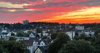 von_poll_real_estate_property_25351013_image_10