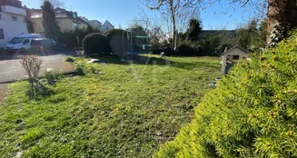 von_poll_real_estate_property_25351014_image_6