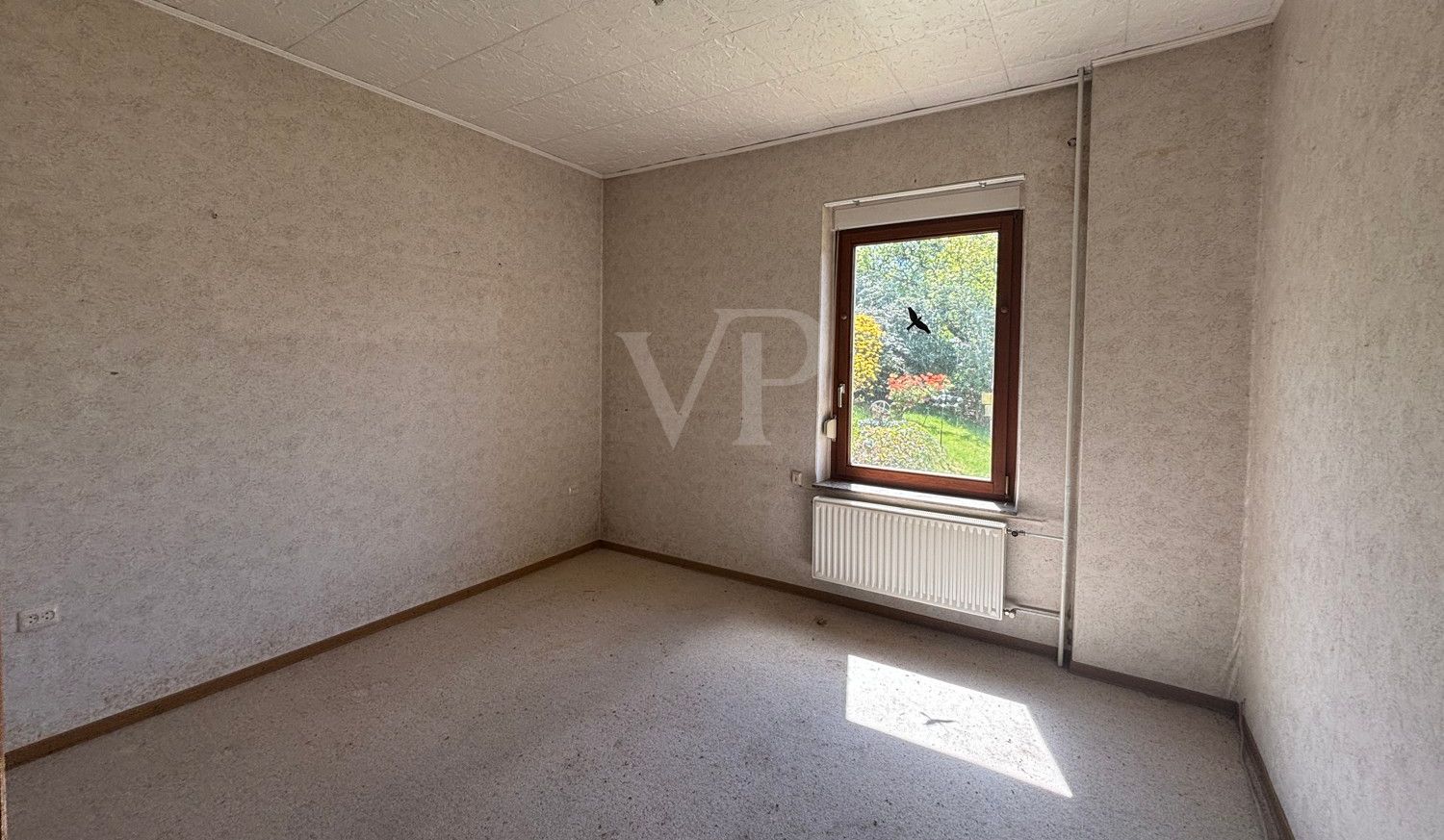 Zimmer EG