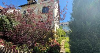 von_poll_real_estate_property_25351017_image_4