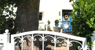 von_poll_real_estate_property_25351024_image_5