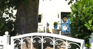 von_poll_real_estate_property_25351024_image_5