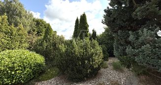 von_poll_real_estate_property_25351049_image_4