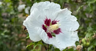 von_poll_real_estate_property_25351049_image_9