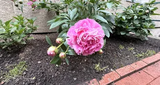 von_poll_real_estate_property_25351031_image_10