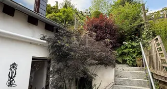 von_poll_real_estate_property_25351041_image_17