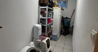 von_poll_real_estate_property_25351058_image_35