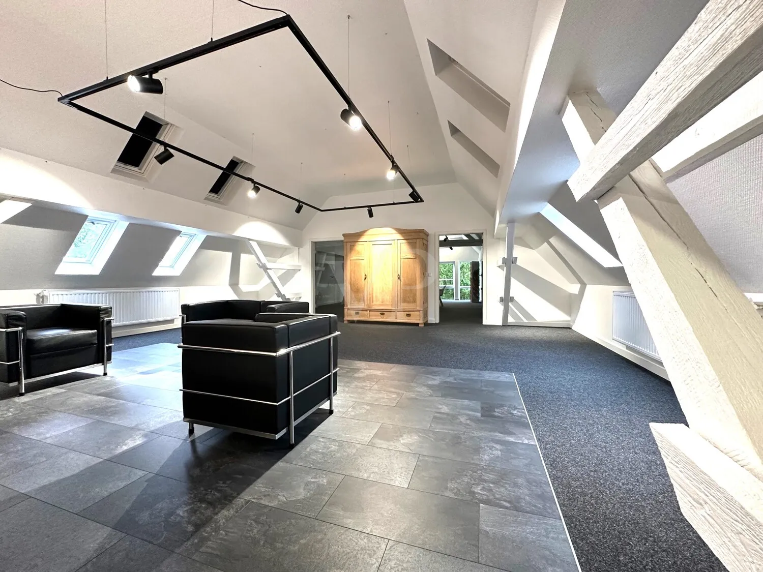 DG Studio