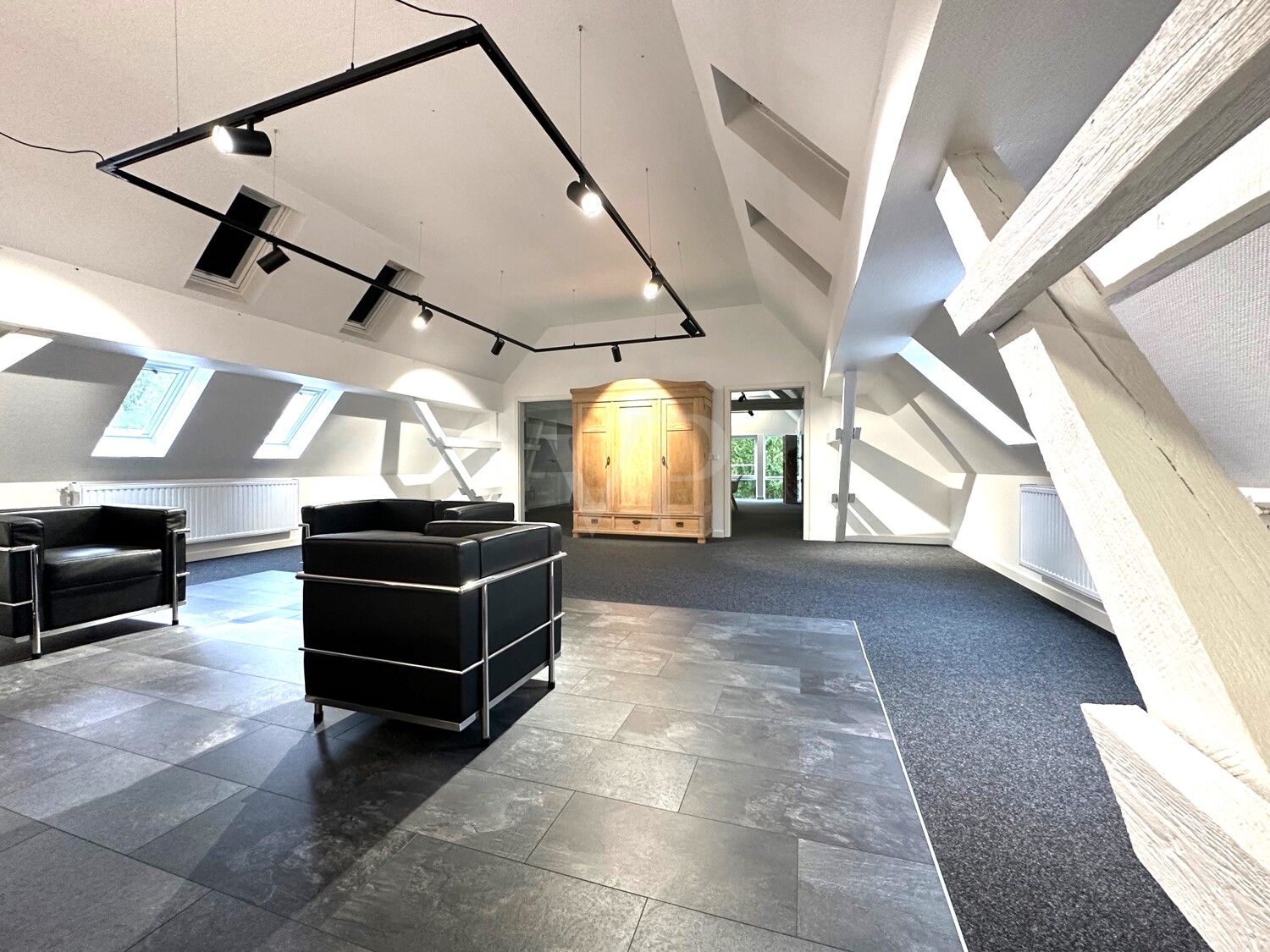 DG Studio