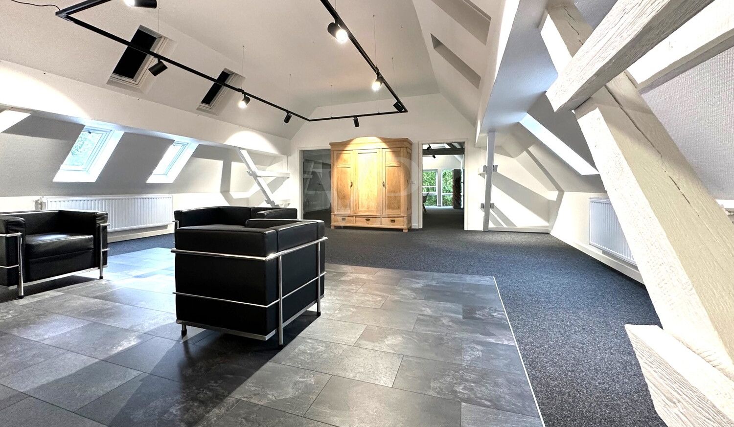 DG Studio