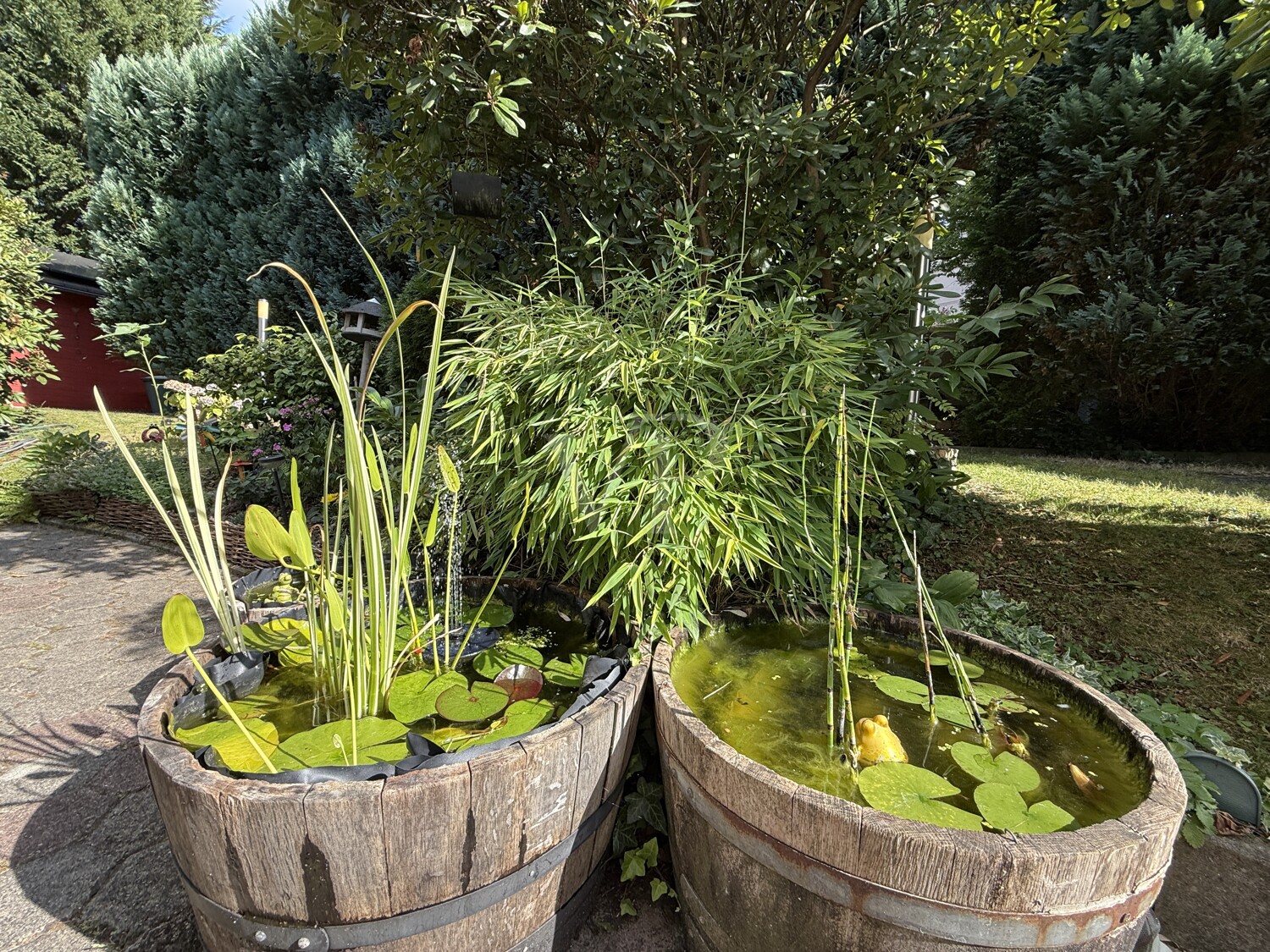 Garten