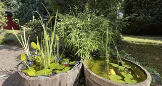 von_poll_real_estate_property_25351051_image_10