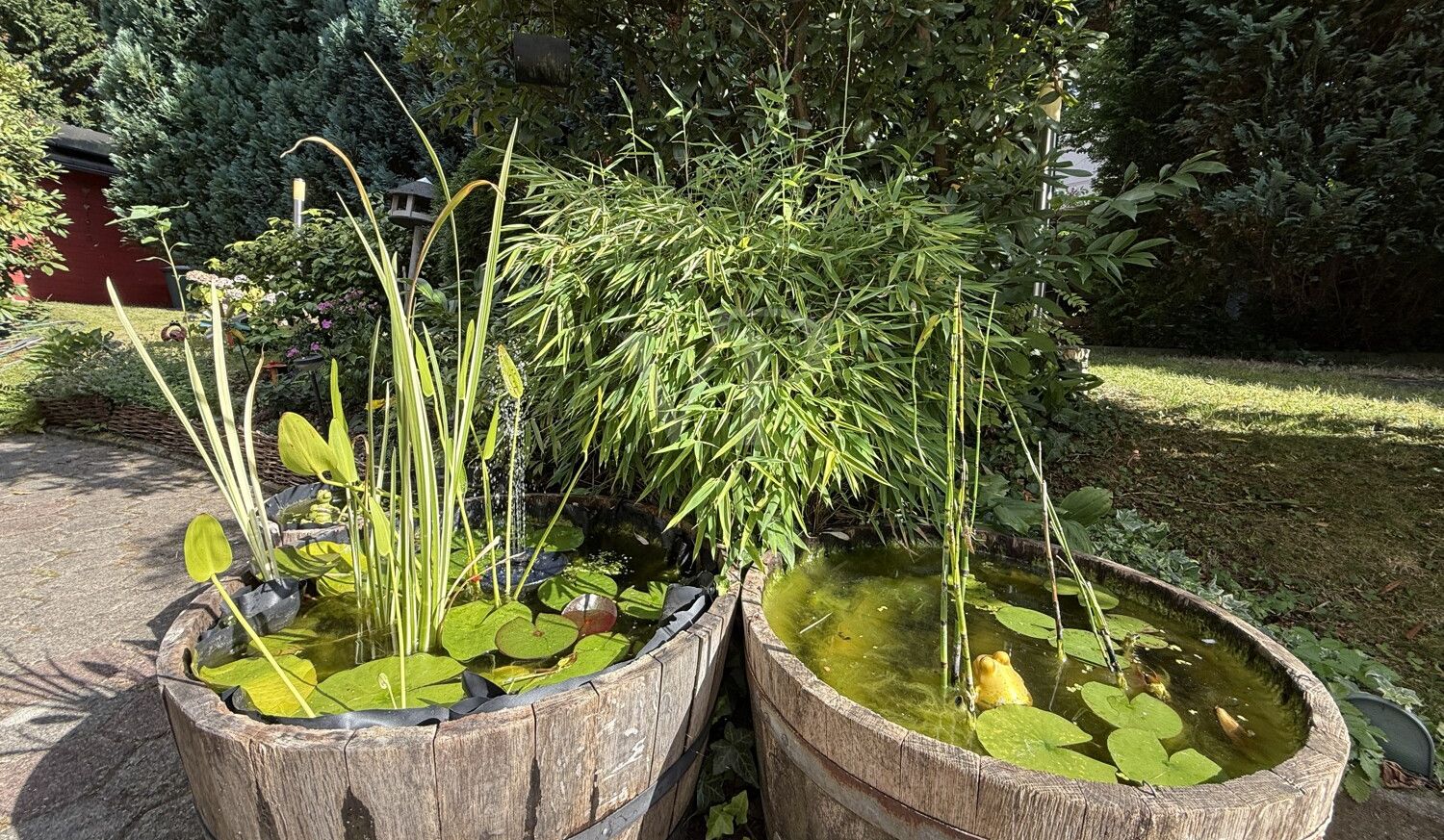 Garten