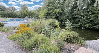 von_poll_real_estate_property_25351060_image_6