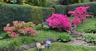 von_poll_real_estate_property_25351048_image_2