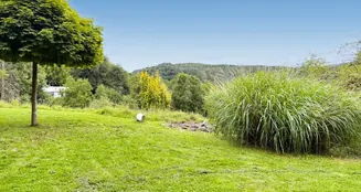 von_poll_real_estate_property_25351050_image_23