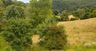 von_poll_real_estate_property_25351050_image_33