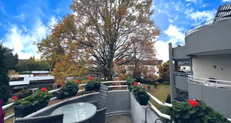 von_poll_real_estate_property_25351067_image_11